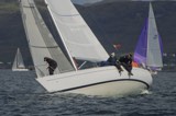 white lightning gbr4327 whyw24 thurs whyw24 thur 800 5873